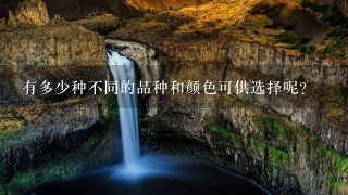 有多少种不同的品种和颜色可供选择呢?