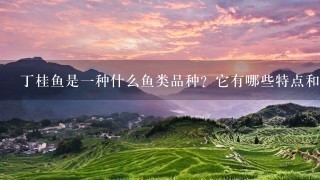 丁桂鱼是一种什么鱼类品种?它有哪些特点和营养价值?