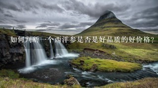 如何判断一个西洋参是否是好品质的好价格?