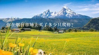 你在烟台市场上买了多少只爬虾?