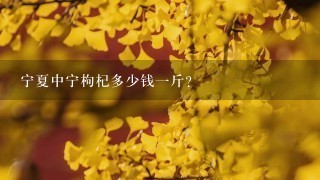 宁夏中宁枸杞多少钱一斤?