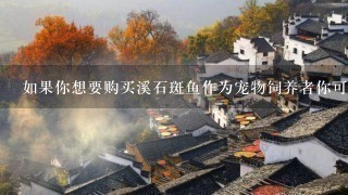 如果你想要购买溪石斑鱼作为宠物饲养者你可能需要考虑哪些因素以确保你的动物能够得到良好的照顾和生存条件?