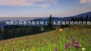 你能告诉我当前市场上一头普通的猪肉的价格吗?