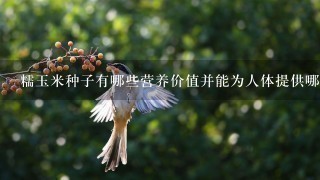 糯玉米种子有哪些营养价值并能为人体提供哪些好处呢?
