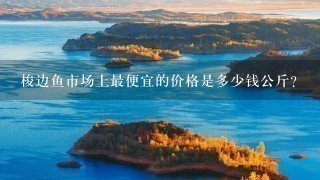 梭边鱼市场上最便宜的价格是多少钱公斤?