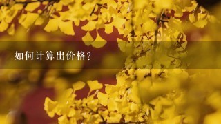 如何计算出价格?