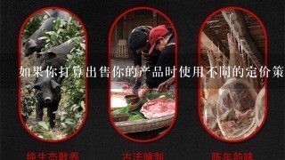 如果你打算出售你的产品时使用不同的定价策略你会选择哪种方法来实现这个目标?