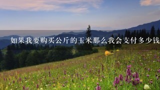 如果我要购买公斤的玉米那么我会支付多少钱？
