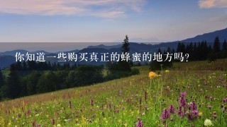 你知道一些购买真正的蜂蜜的地方吗?