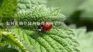 如何正确存储和处理五味子?