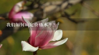 我们如何确定价格水平？
