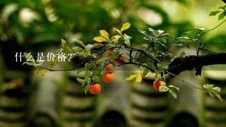 什么是价格？