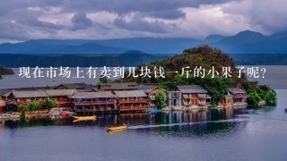 现在市场上有卖到几块钱一斤的小果子呢?