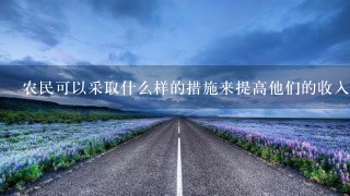 农民可以采取什么样的措施来提高他们的收入并减少他们面临的风险？