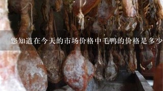 您知道在今天的市场价格中毛鸭的价格是多少吗?