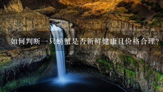 如何判断一只螃蟹是否新鲜健康且价格合理?