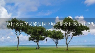 为什么要在发酵过程中加入糖分和麦芽汁液呢?