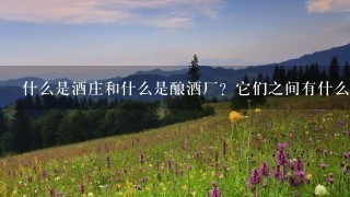 什么是酒庄和什么是酿酒厂?它们之间有什么区别?